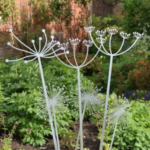 mvo_product_flower_cowparsley_inaborder